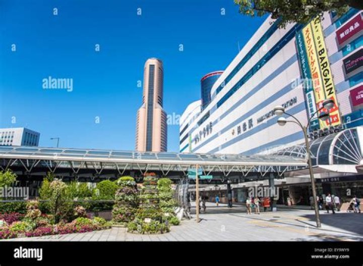 東京駅から浜松駅：新幹線で迷わない最短ルートと所要時間ガイド